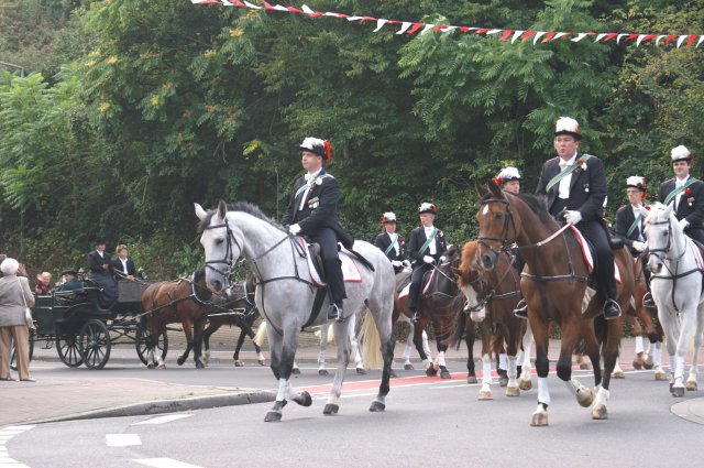 Quadrille 2008