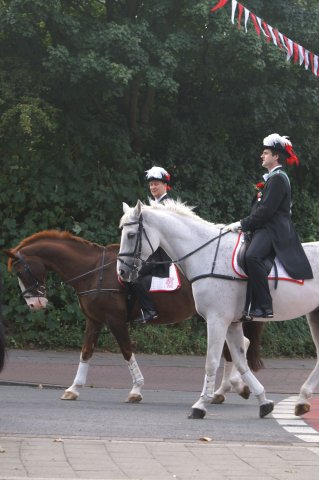 Quadrille 2008