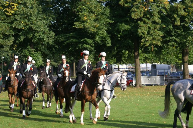 Quadrille 2008