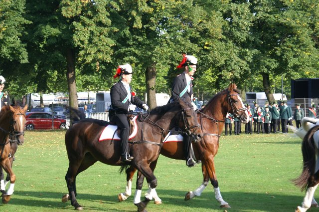 Quadrille 2008