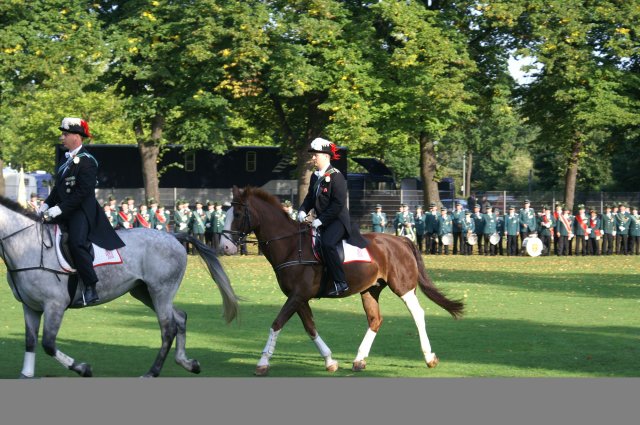 Quadrille 2008