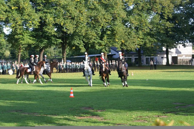Quadrille 2008