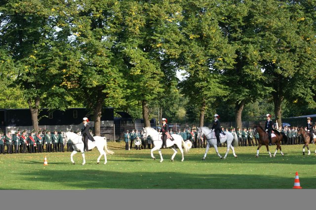 Quadrille 2008