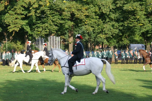 Quadrille 2008