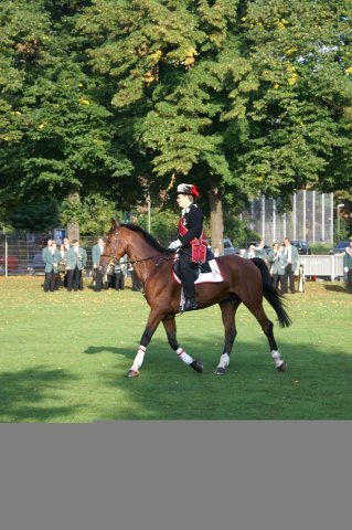 Quadrille 2008