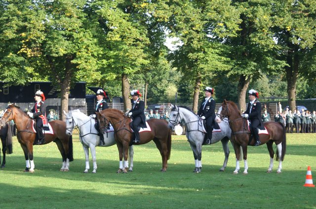 Quadrille 2008