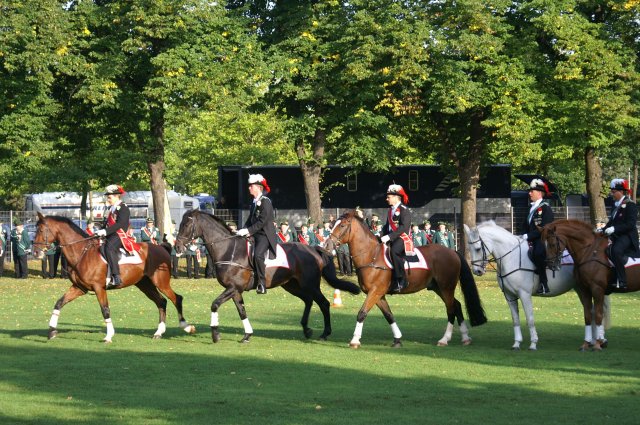 Quadrille 2008