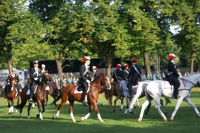Quadrille 2008