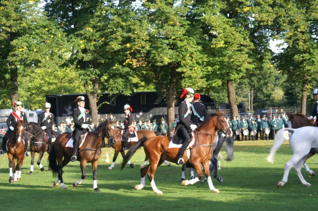 Quadrille 2008