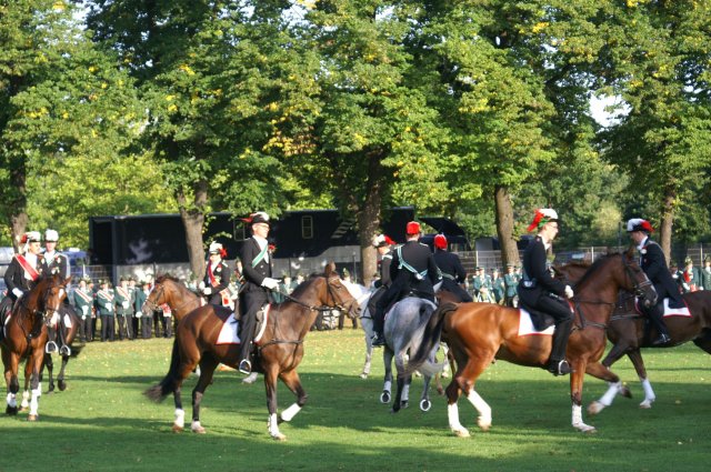 Quadrille 2008