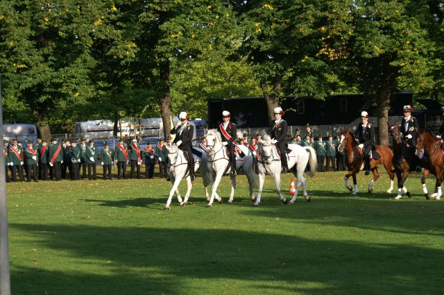 Quadrille 2008