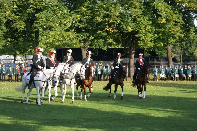 Quadrille 2008