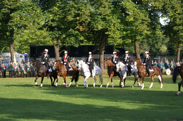 Quadrille 2008