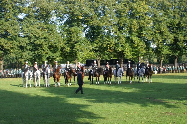 Quadrille 2008