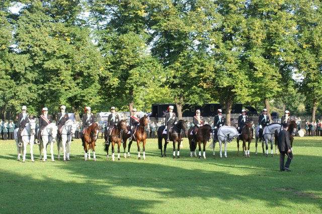 Quadrille 2008