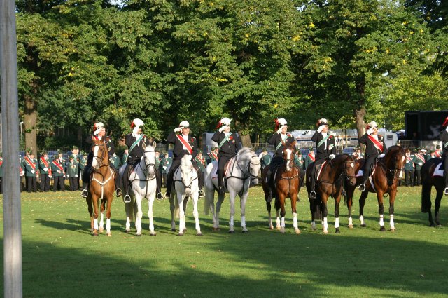 Quadrille 2008