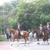 Quadrille 2008
