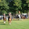 Quadrille 2008