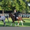 Quadrille 2008