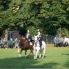 Quadrille 2008