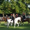 Quadrille 2008
