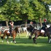 Quadrille 2008