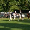 Quadrille 2008