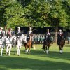 Quadrille 2008