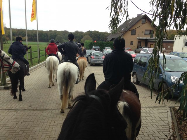 Herbstausritt 2013 