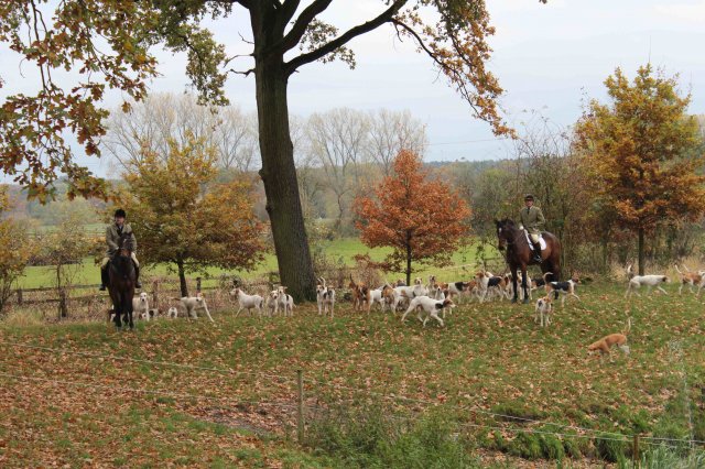 Herbstausritt 2016