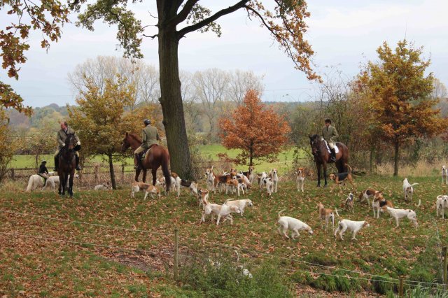 Herbstausritt 2016