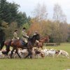 Herbstausritt 2016