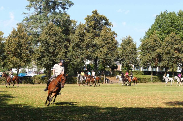 Probereiten 2016  (Öffentlich)